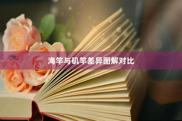 海竿与矶竿差异图解对比