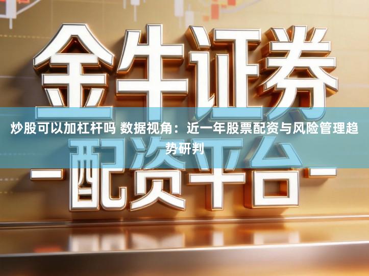 炒股可以加杠杆吗 数据视角：近一年股票配资与风险管理趋势研判