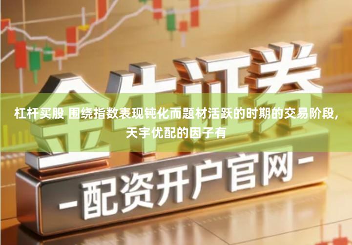 杠杆买股 围绕指数表现钝化而题材活跃的时期的交易阶段,天宇优配的因子有